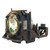 PT-DW10000U Original OEM replacement Lamp