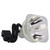 XG-SV200X-LAMP