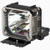 REALiS-SX60-LAMP