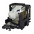 REALiS-SX60-LAMP