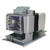 D805W-3D replacement lamp