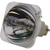 Jaspertronics™ OEM Replacement Bulb for The DX125 Projector with Original High-Quality bulb inside - 180 Day Warranty