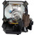PT-P1SDE-LAMP