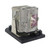Jaspertronics™ OEM AN-PH7LP1/1 Lamp & Housing for Sharp Projectors with Original High-Quality bulb inside - 240 Day Warranty