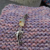 Dolphin with Green Amazonite and Aventurine Chip Gemstone | Progress Stitch Marker