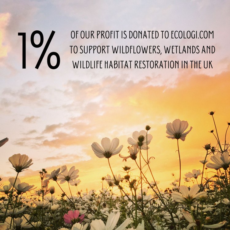 Supporting Wildflowers, Wetlands & Wildlife Habitat Restoration in the UK | Atomic Knitting