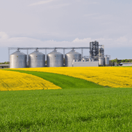 ​Canadian Wheat, Canola Harvests Expand, Rebounding from Dry Conditions