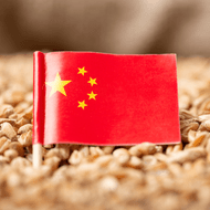 ​China Ramps Up Wheat Imports Amid Crop Shortfalls