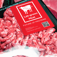 ​Opinion - Will Cultured Meat Outpace Plant-Based Alternatives?