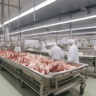 ​Rising Concerns Over Imported Poultry: NFU and FSA Address Salmonella Risks