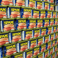 ​The True Story Behind Spam