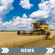 ​UK Wheat Harvest Suffers Major Blow Amid Wettest Season on Record