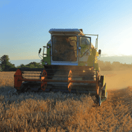 ​Wet Weather May Spike Wheat Prices