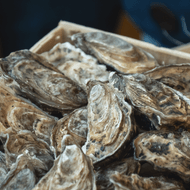 ​Norovirus Outbreak Leads to Oyster Sale Ban in France