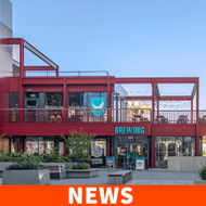 Punk No More: How BrewDog’s Bold Ambitions Unravelled in a Tough Market