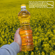 UK Oilseed Rape Harvest 2025 Breaks Records