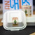 Merry Fishmas Label on a bagasse clamshell Merry Fishmas Label on a bagasse clamshell
