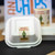 Merry Fishmas Label on a bagasse clamshell Merry Fishmas Label on a bagasse clamshell