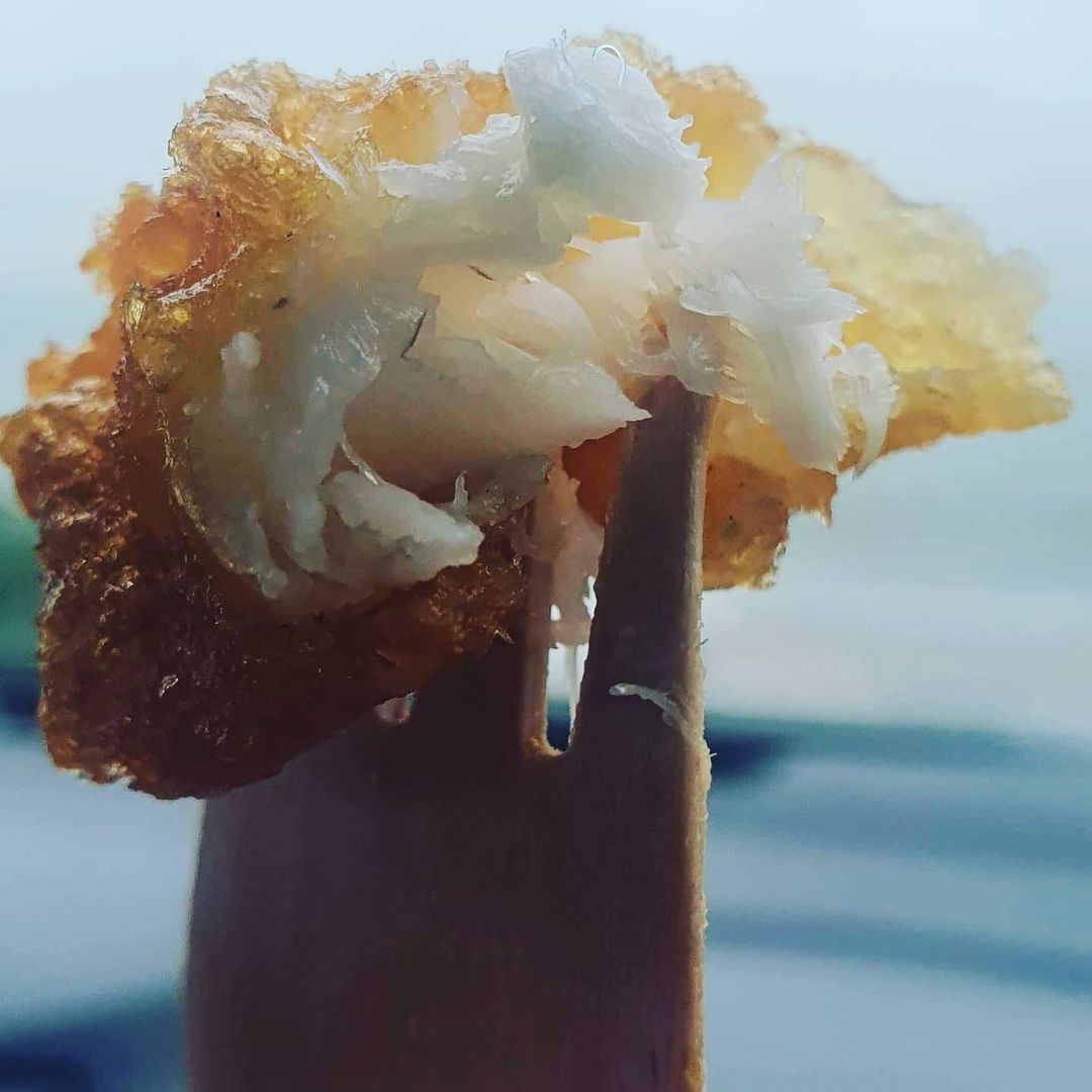 Street food meets fish and chips - Ceres Shop