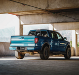 AlphaRex 653090 LUXX-Series LED Tail Lights in Black/Red for Ford F150 2009-2014