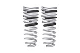 Eibach E30-27-006-02-02 Pro-Truck Rear Springs for Ram 2500 2014-2024