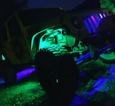 DCS Lighting Surface Mount Rock Light- Single