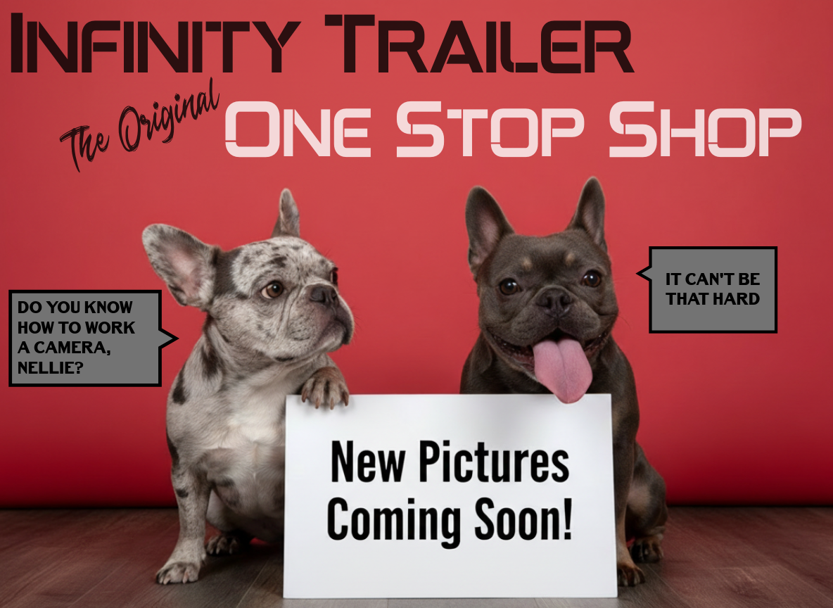 Heater, Wall, 750/1500W @ 120V, Stelpro, White, Thermostat