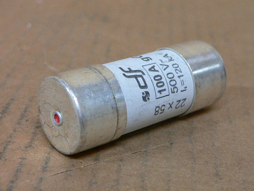 DF Electric 422100 100A Ceramic Cylindrical Industrial 500V