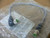 Murr Elektronik 7000-40541-3480030 M12 MALE 0° / M12 FEMALE 90° Shielded Cable