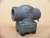 Beric Valves 503T68A08 Lift Check Valve