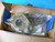 Haldex 400-10216 Automatic Brake Adjuster