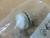 SPRECHER & SCHUH D7M-P7 INDICATOR LIGHT