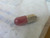 Sprecher + Schuh D5-N157R Red LED Bulb