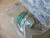 SPRECHER & SCHUH D7M-P3 INDICATOR LIGHT GREEN 120V LED