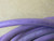 MURR ELEKTRONIK 7000-13105-8030500 M12 MALE 0° CABLE (USED)