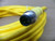 STI 44509-0340 4-PIN MALE CONNECTOR CABLE