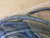AUTOMATION DIRECT MURR ELEKTRONIK CD08-0A-050-C1 CABLE CONNECTOR