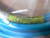 Woodhead Connectivity, E16B06202M020