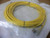 ALLEN BRADLEY 3-PIN CABLE 889P-P3AB-5