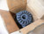 MAXITORQ MAB045T MAB045T99900031 CLUTCH BRAKE ASSEMBLY
