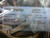 New Allen Bradley 1756-L62  PROCESSOR MODULE 4MB