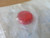Telemecanique ZBV014 Red light accessory