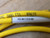 TURCK PICOFAST MOLDED CORDSET PKG 4M-2-PSW 4M