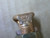 BURNDY KS22DB KS22DB 15-25 14-2T SPLIT BOLT CONNECTOR DIR BURIAL     S/B 6-3 AWG