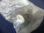 New Allen Bradley 800EP-LE9 Illuminated Extended Push Button