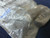 New -Allen Bradley -800EP-LE7 -Illuminated Extended Push Button
