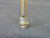 BAUMER ELECTRIC IFRM 06P17A1/S35L IFRM06P17A1S35L INDUCTIVE SENSORS