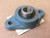 RELIANCE ELECTRIC 203 8C2B NL 2 Bolt Flange Ball Bearing 124256