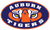 AUBURN TIGERS LEXUS RX350L OVERLAY EMBLEM VINYL DECALS