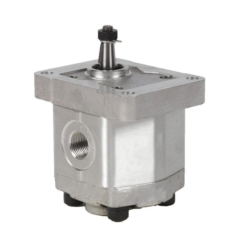 1.25CC Gear Pump Group 1 Clockwise/Anticlockwise - Fischer  